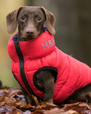 Reversible Dog Puffer Jacket - Red and Navy